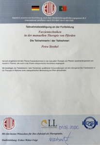 Faszientechniken in der manuellen Therapie von Pferden beim Institut Freies Lehrzentrum EWV Esther Weber-Voigt