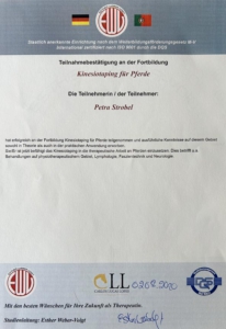 Kinesio Taping für Pferde beim Institut Freies Lehrzentrum EWV Esther Weber-Voigt