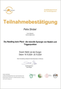 Equines Dry Needling beim Ausbildungszentrum für Tiertherapeuten Sarah Mergen