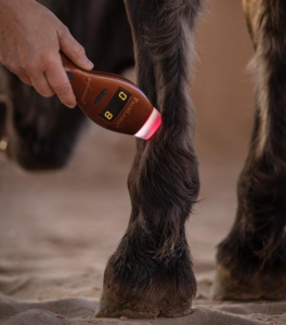 Palm Laser Professional