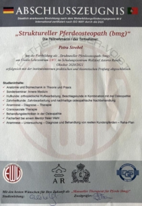 Ausbildung zur Pferdeosteopathin ebenfalls beim Institut Freies Lehrzentrum EWV Esther Weber-Voigt