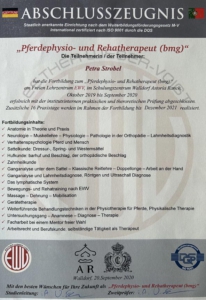 Ausbildung zur Pferdephysio- und Rehatherapeuthin beim Institut Freies Lehrzentrum EWV Esther Weber-Voigt