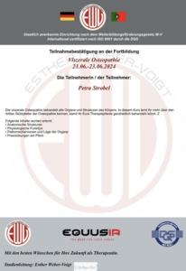 Fortbildung Viszerale Osteopathie beim Institut Freies Lehrzentrum EWV Esther Weber-Voigt